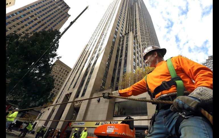 El abeto portará 50 mil luces multicolores y lo coronará una estrella de 400 kilos. EFE/P. Foley