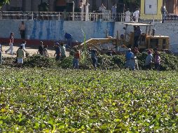 En 2016 el Gobierno del Estado invirtió cuatro MDP que se ejercieron en la adquisición de maquinaria para retirar maleza acuática del Lago de Chapala. EL INFORMADOR / ARCHIVO