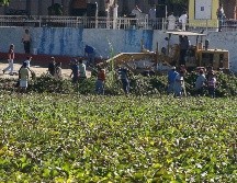 En 2016 el Gobierno del Estado invirtió cuatro MDP que se ejercieron en la adquisición de maquinaria para retirar maleza acuática del Lago de Chapala. EL INFORMADOR / ARCHIVO