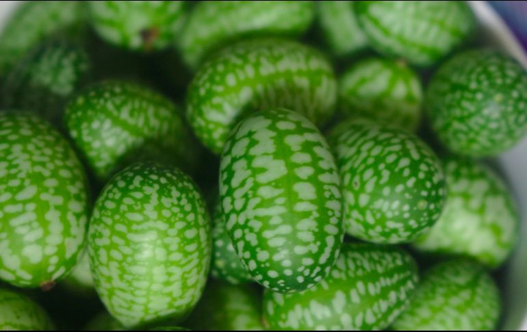 A pesar de su curioso aspecto híbrido, el cucamelón es un alimento originario de Centroamérica que se consume desde tiempos prehispánicos. PIXABAY