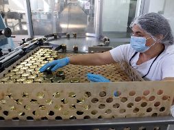 A nivel mundial, el aumento de los flujos de IED en los dos primeros trimestres de 2021 recuperó más de 70% de la pérdida inducida por la pandemia de COVID-19 en 2020. AFP/D. Sencar