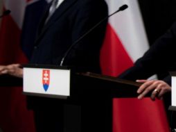 Las esterilizaciones 