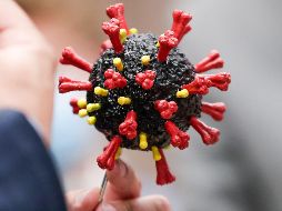 La nueva variante, que ha llevado a muchos países a suspender los vuelos con África austral, preocupa por el alto número de mutaciones que presenta. EFE / ARCHIVO