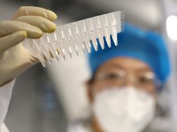 Además de detectarse en Sudáfrica, la cepa ómicron ha sido identificada en Malaui, Israel, Hong Kong y Bélgica. XINHUA/Y. Jianfeng