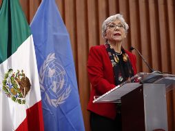 La presidenta del comité contra la desaparición forzada, Carmen Rosa Villa, habla durante una conferencia de prensa en la Ciudad de México. EFE/J. Méndez