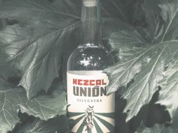 La empresa beneficia a más de 200 familias de productores en Oaxaca y la marca se distribuye en once países. ESPECIAL