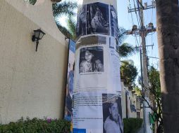 Pegan fichas de búsqueda en la ZMG para concientizar sobre las desapariciones