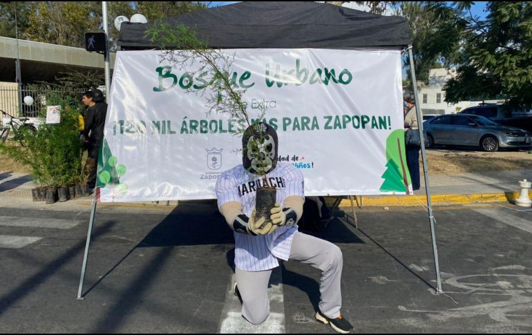 Bosque Urbano de Extra regaló este domingo cedros blancos en el módulo de la Vía RecreActiva de Zapopan