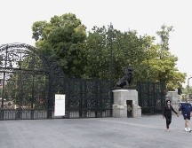 Una joven australiana asigna 