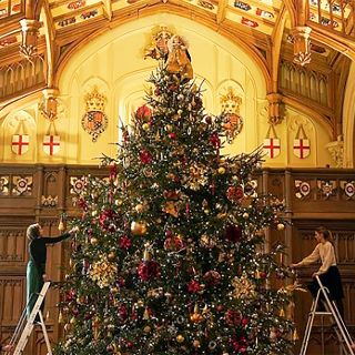 Así es el enorme árbol de navidad que ha llegado al castillo de la reina Isabel II