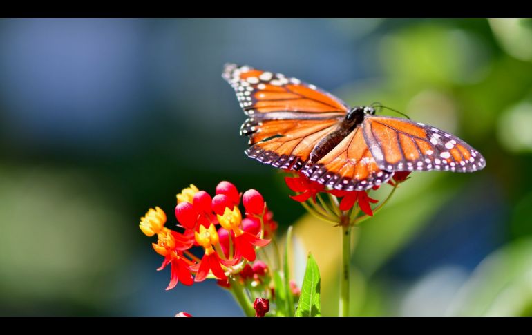 Foto: Juan Pablo Mascanfroni on Unsplash