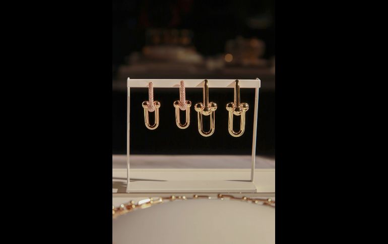 Aspecto GENTE BIEN JALISCO/TONY MARTÍNEZ