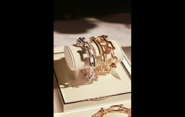 Aspecto GENTE BIEN JALISCO/TONY MARTÍNEZ