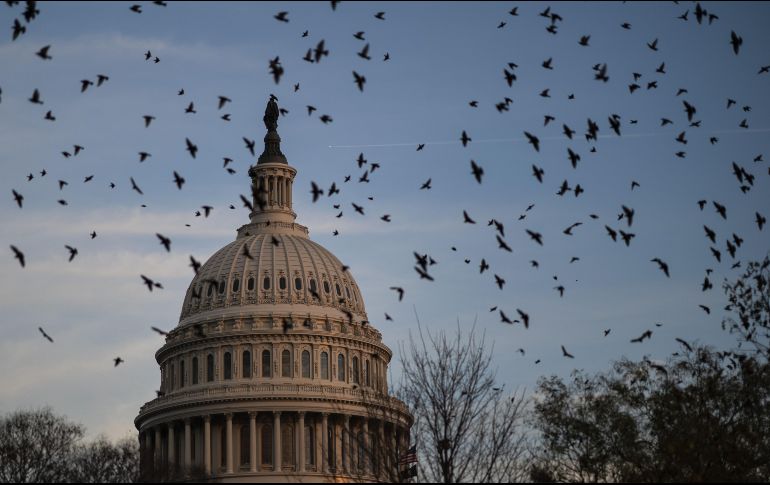 El único republicano que apoyó la medida fue Adam Kinzinger. AFP/D. Angerer