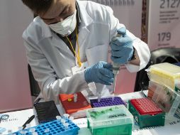 Este domingo se detectaron los primeros casos de la nueva variante en Dinamarca. XINHUA/ARCHIVO