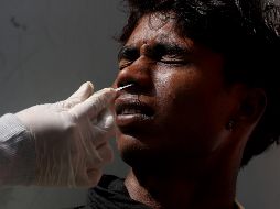 Ómicron y es enteramente consecuencia de la circulación de la variante delta, según la epidemióloga María Van Kherkove. EFE / Jagadeesh NV