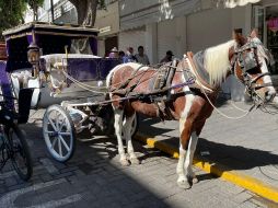 El percance ocurrió la mañana de hoy viernes en el cruce de avenida Hidalgo y Pedro Loza. ESPECIAL /