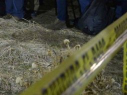 De enero a octubre de este año han sido asesinadas de manera violenta, en Jalisco, al menos 230 mujeres. SUN / ARCHIVO