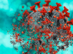 El virus. La ciencia no ha dejado de investigarlo. Pixabay