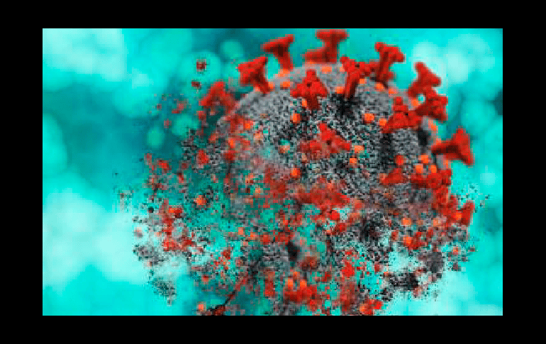 El virus. La ciencia no ha dejado de investigarlo. Pixabay