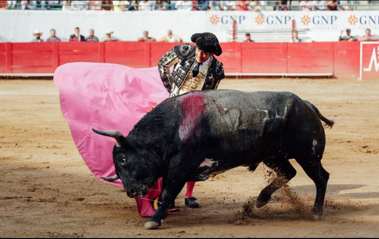 Hasta esta nueva reforma, tanto las corridas de toros como las peleas de gallos han sido exceptuadas de las normas que prohíben matar animales prolongando su agonía, mutilarlos o incitarlos a atacarse entre ellos. EL INFORMADOR / ARCHIVO
