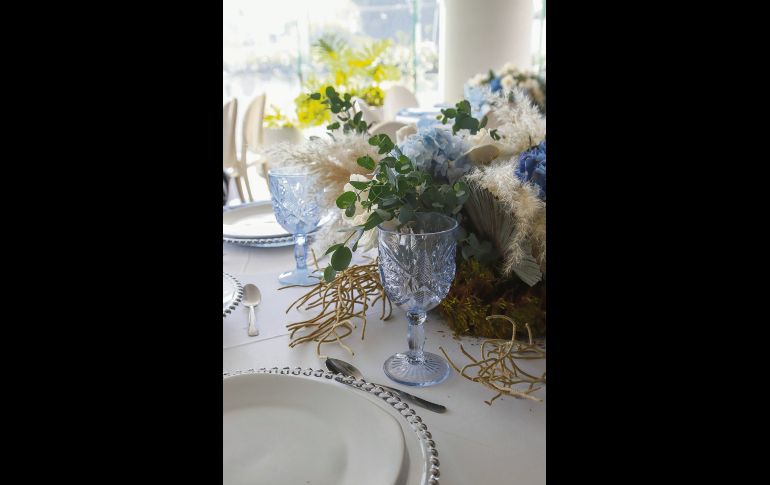 Aspecto. GENTE BIEN JALISCO/ANTONIO MARTÍNEZ