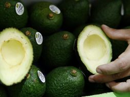 Sin tener el mercado estadounidense abierto, el año pasado las exportaciones de aguacate jalisciense crecieron 17% con una derrama económica calculada en tres mil millones de pesos. EFE/ARCHIVO