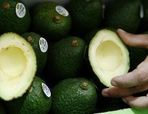 Sin tener el mercado estadounidense abierto, el año pasado las exportaciones de aguacate jalisciense crecieron 17% con una derrama económica calculada en tres mil millones de pesos. EFE/ARCHIVO