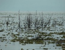 Uno de los objetivos es fomentar el desarrollo intermunicipal e interurbano de la región. EL INFORMADOR/ARCHIVO