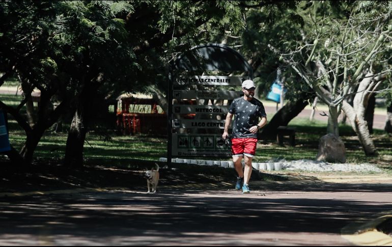 Quienes respondieron la encuesta, en general, señalaron que están “muy insatisfechos” con los servicios públicos, lo que significa que “la ciudad no ofrece lo mínimo que requerimos para el tejido social”. EL INFORMADOR / ARCHIVO
