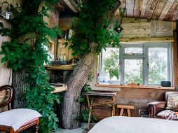 Private Scluded Treehouse en Elham, Reino Unido. ESPECIAL/CORTESÍA DE AIRBNB.