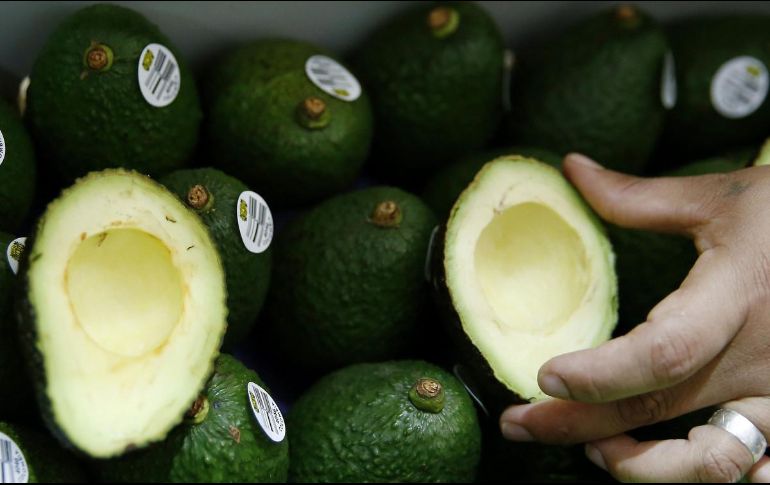 Con la apertura de exportación de aguacate a Estados Unidos, se espera un aumento en la producción de 10 por ciento. EFE / ARCHIVO