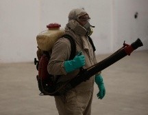 Los municipios de La Huerta, San Gabriel, Tonila y Tuxcacuesco tienen la mayor tasa de incidencia de dengue por cada cien mil habitantes. EL INFORMADOR/ARCHIVO