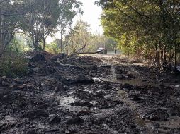 ESPECIAL / Protección Civil Jalisco