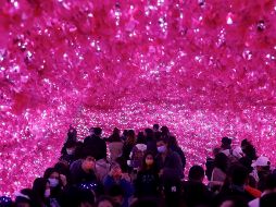 La OMS pidió a los gobiernos evitar eventos con presencia de mucha gente y que se podrían convertir en superpropagadores de COVID. EFE/ARCHIVO