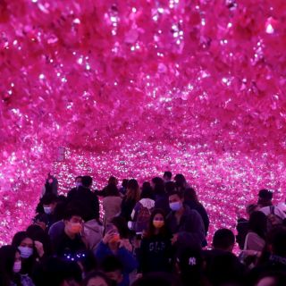 Ómicron puede infectar a vacunados y curados: OMS; pide cancelar festejos