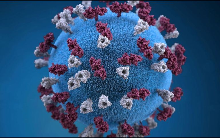 Tras infectarse con el virus del sarampión, el sistema inmunológico borra los recuerdos de otras enfermedades. REUTERS