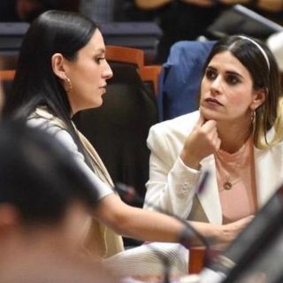 Archivada, la reforma para revertir #SinVotoNoHayDinero