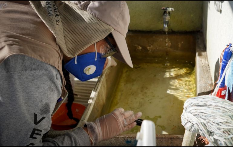 Autoridades realizan acciones de prevención y control del dengue, que se transmite por el mosquito Aedes aegypti. ESPECIAL/Gobierno de Jalisco/ARCHIVO