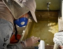 Autoridades realizan acciones de prevención y control del dengue, que se transmite por el mosquito Aedes aegypti. ESPECIAL/Gobierno de Jalisco/ARCHIVO