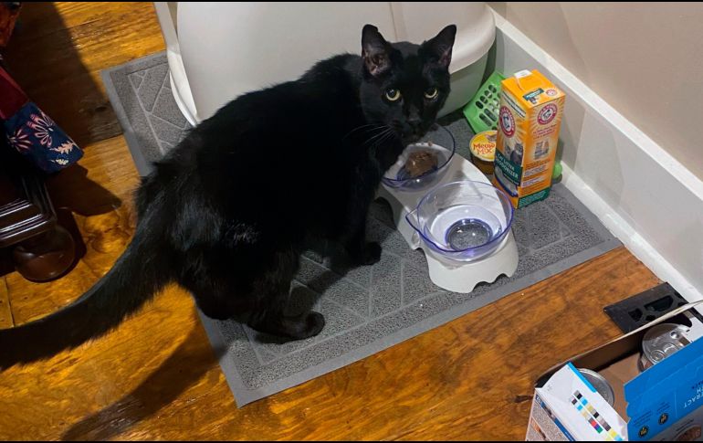 Madix estaba sumamente hambriento y sediento, pero ileso. AP/S. Gibson