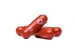 La FDA autorizó la pastilla de Merck para adultos con síntomas tempranos de COVID-19 con mayores riesgos de hospitalización, incluidos adultos mayores y personas con afecciones como obesidad y enfermedades cardíacas. AFP / ESPECIAL