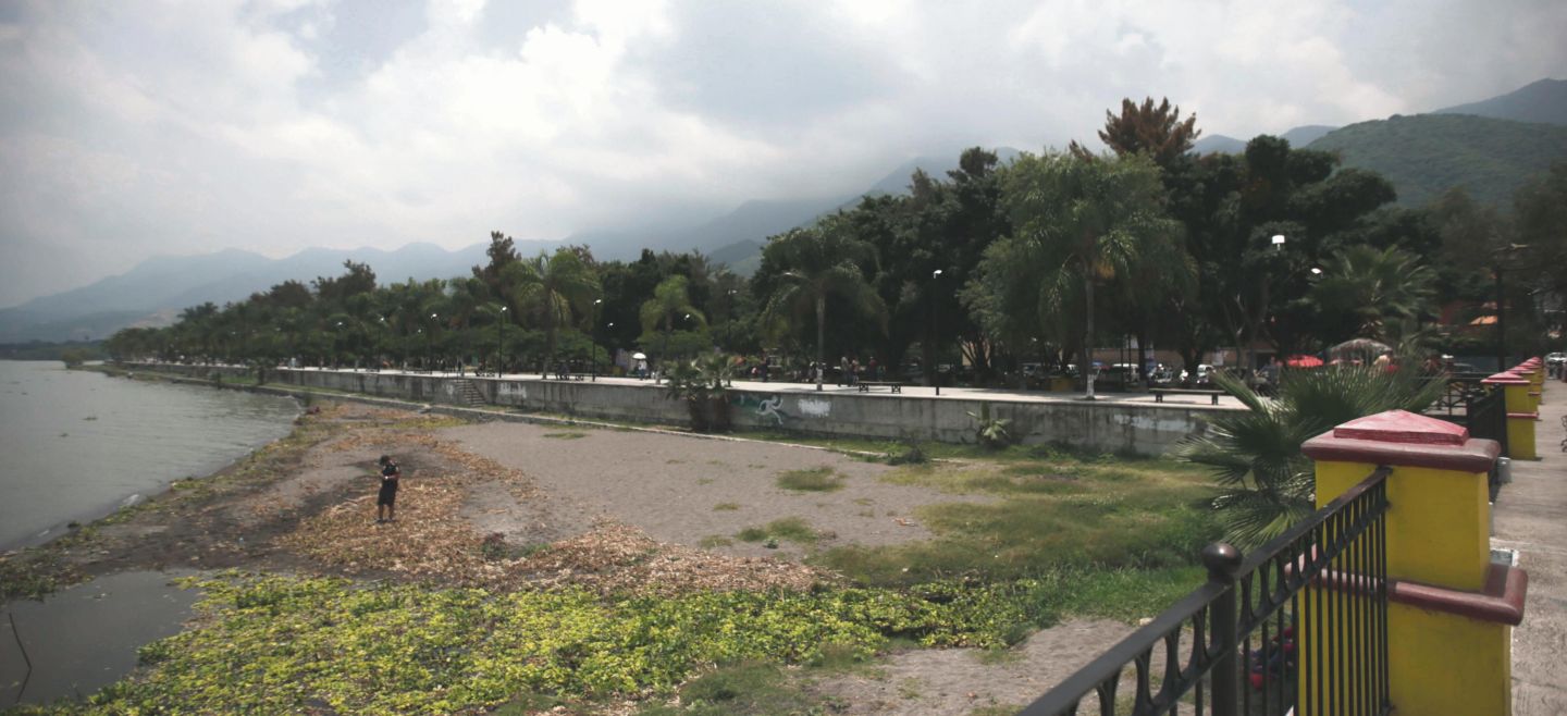 Amenazas. El lirio, la contaminación y el desperdicio de agua golpean constantemente a nuestro vaso lacustre. Archivo/ El Informador
