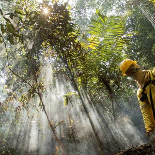 Brasil: Gobierno de Bolsonaro cancela proyectos para la extracción de oro en la Amazonía