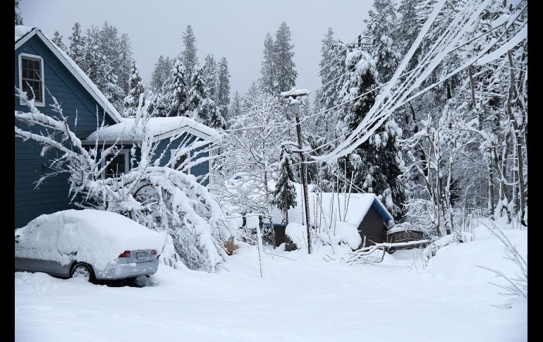 La tormenta ha tumbado árboles y líneas de transmisión eléctrica, dejando a miles de personas sin electricidad. AP/E. Funez