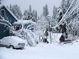La tormenta ha tumbado árboles y líneas de transmisión eléctrica, dejando a miles de personas sin electricidad. AP/E. Funez