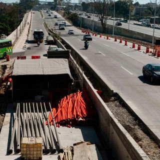 Peribús: Tardará ZMG hasta tres años en “recuperarse” de tala de arbolado