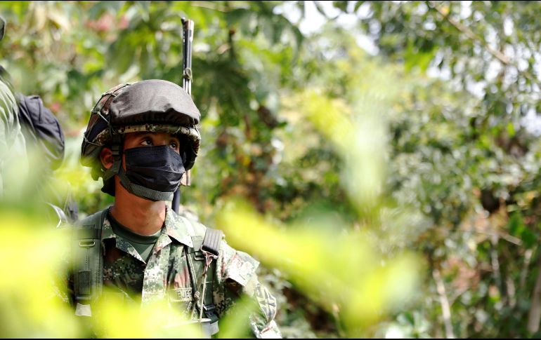 El ministro de Defensa señaló que fueron incautadas 659 toneladas de cocaína