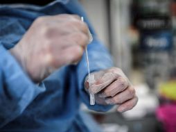 Esta variante contiene 46 mutaciones, es decir todavía más que ómicron, y es una de las dos derivadas de la B.1.640 que se había localizado a finales de septiembre en la República del Congo. AFP / S. De Sakutin