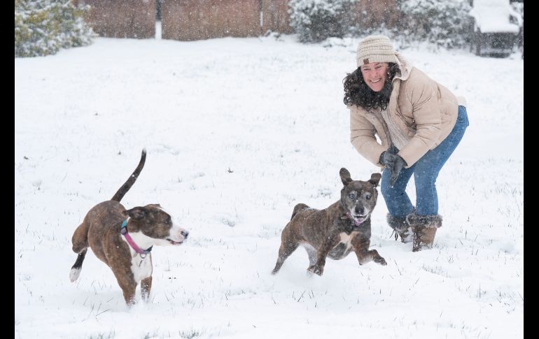 Tennessee y Nashville resultaron afectadas por nevadas, lluvia helada y aguanieve. AP/G. Walker